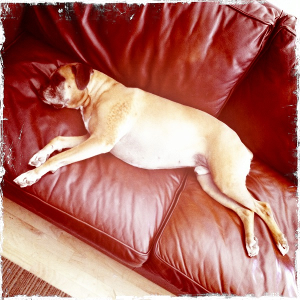 Hip 334773833.861167