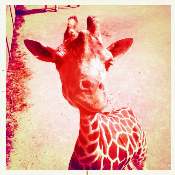 Hip 334788304.918741