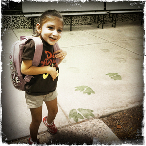 Hip 334613177.743856