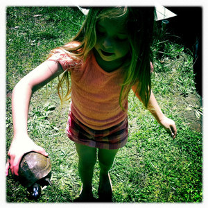 Hip 327696495.004442