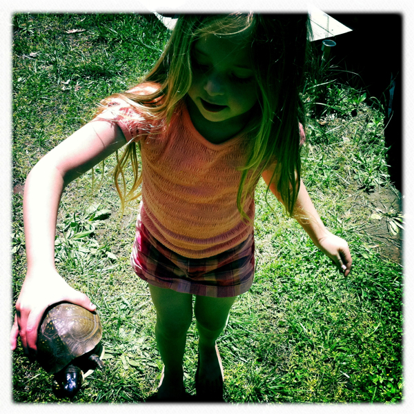 Hip 327696495.004442