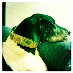 Hip 328161571.705829