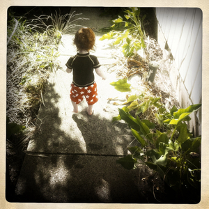 Hip 333849333.592355