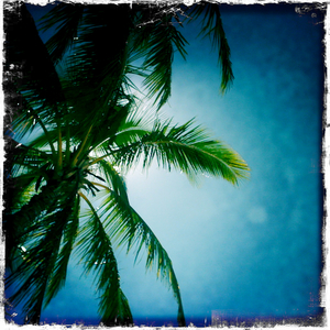 Hip 304314348.465577