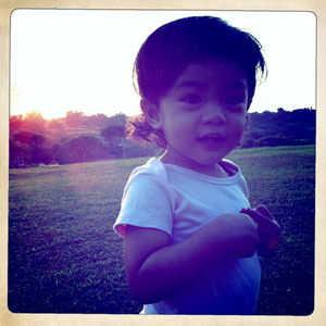 Hip 333887239.495680