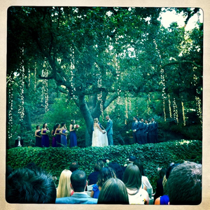 Hip 332558226.859898