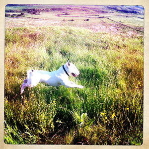 Hip 329509634.345941