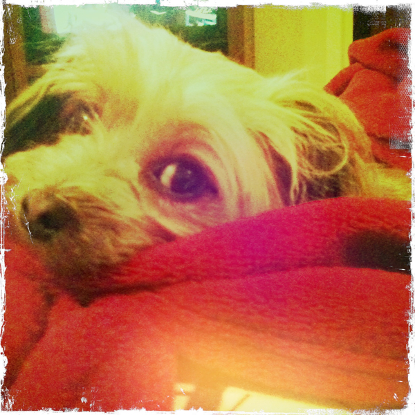 Hip 325852420.296417