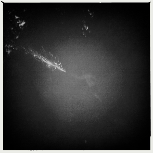 Hip 331525805.613295