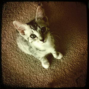 Hip 313912749.170488