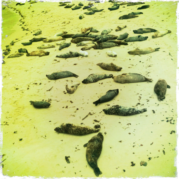 Hip 329929393.651290