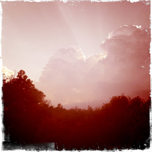 Hip 327194309.125853