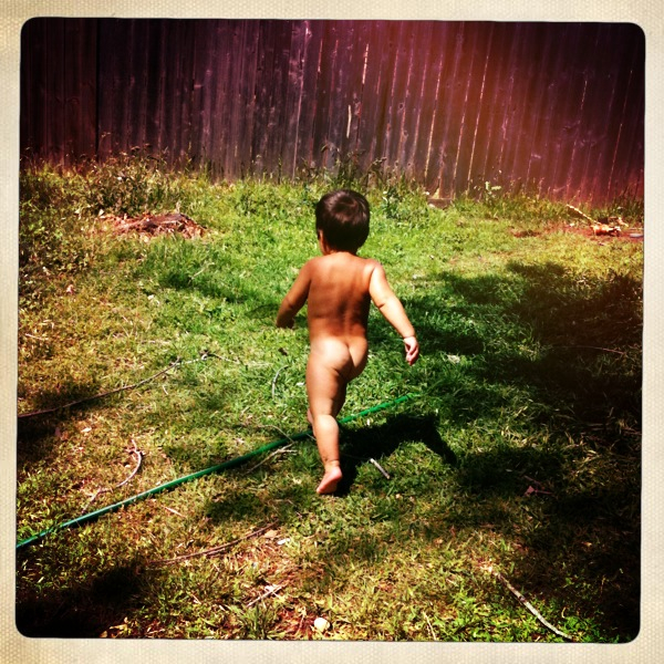 Hip 324331482.137968