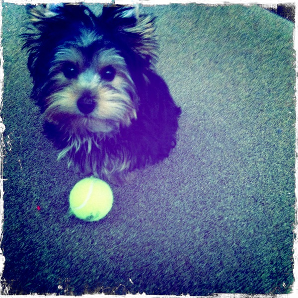 Hip 334804064.415958