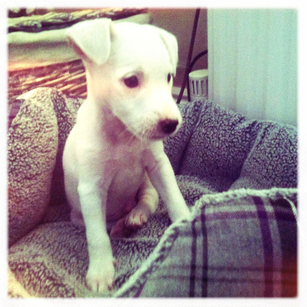 Hip 334514566.657514