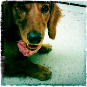 Hip 334857638.299872