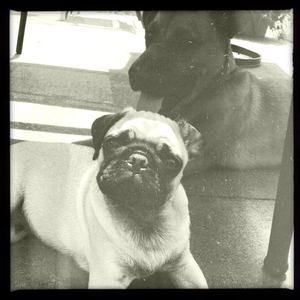 Hip 333482046.878968