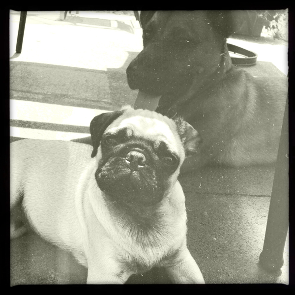 Hip 333482046.878968