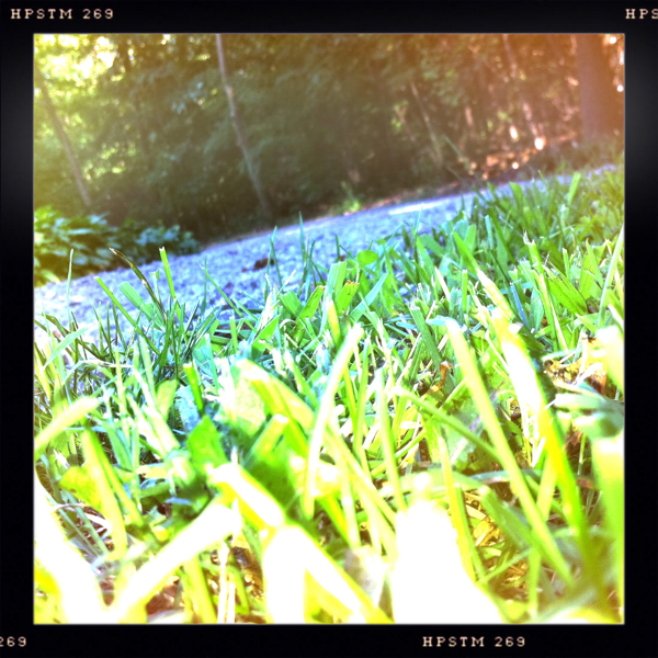 Hip 334793139.422030