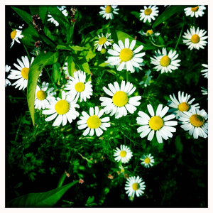 Hip 333723612.988067