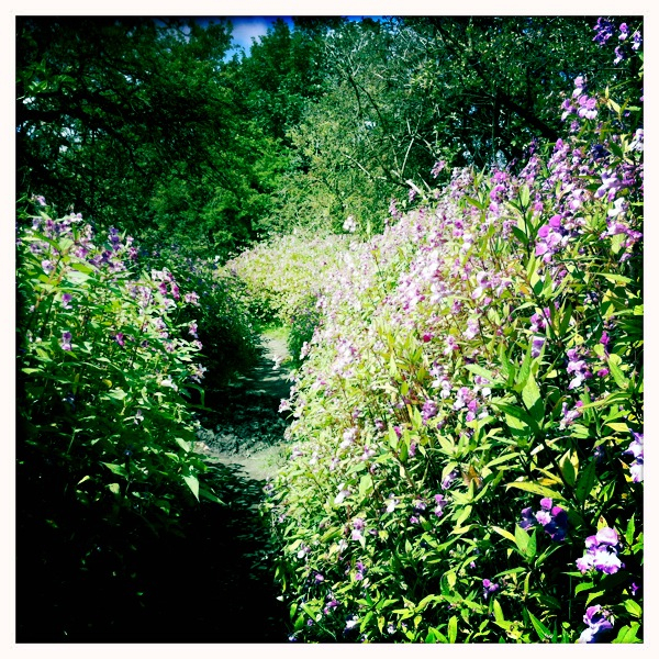 Hip 333719415.818504