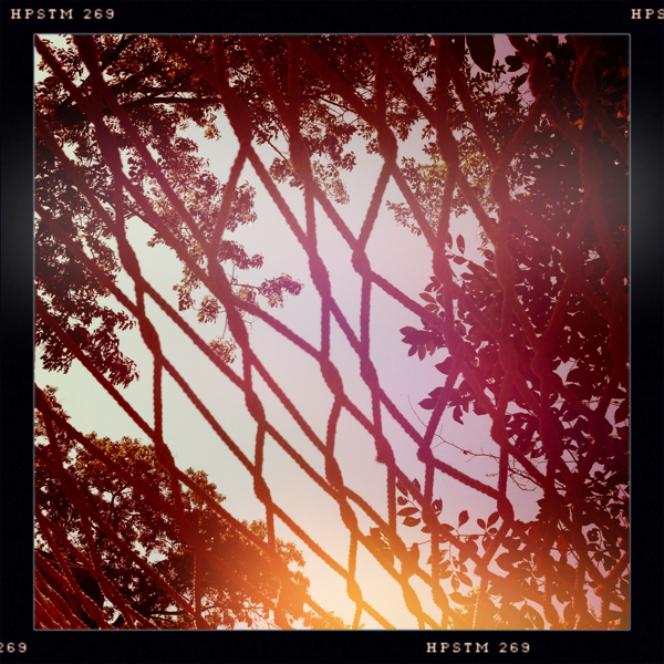 Hip 334793063.363308