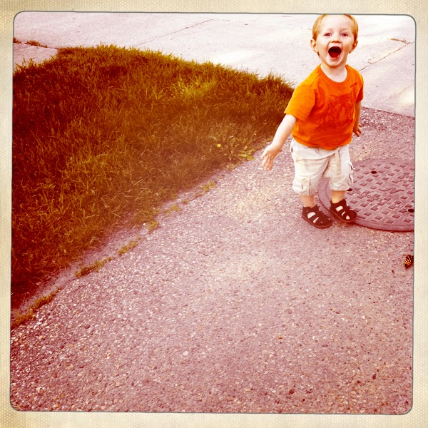 Hip 330484048.155442