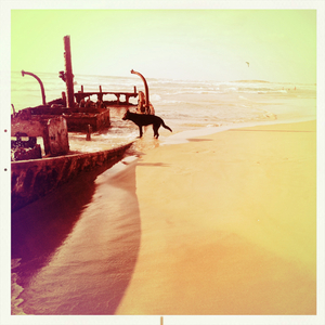 Hip 334854020.126316