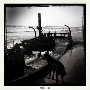 Hip 334852821.798690