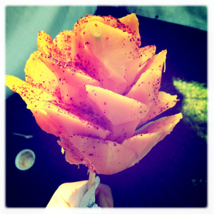 Hip 333750732.529569