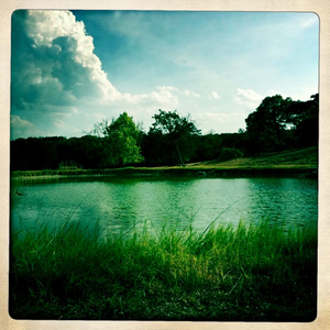 Hip 334795910.953915