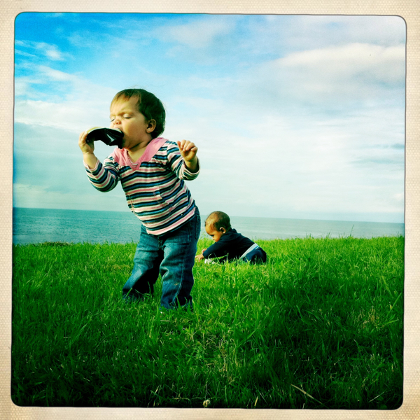 Hip 331250426.451840