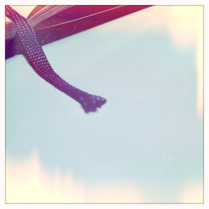 Hip 334870863.471111