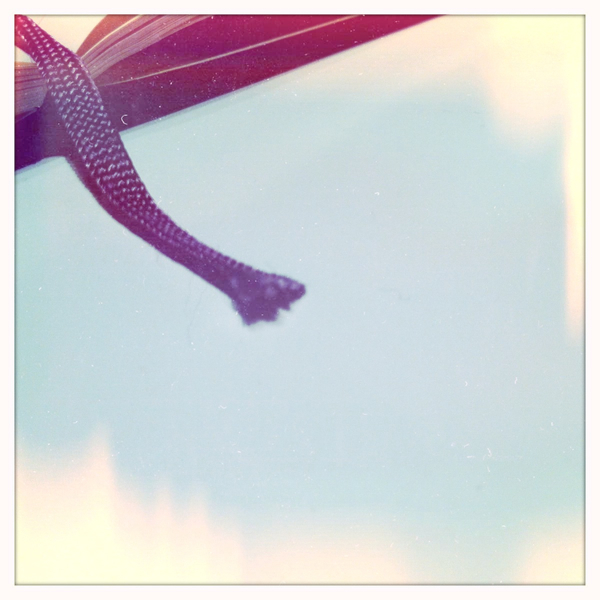 Hip 334870863.471111