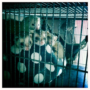 Hip 312201315.357455