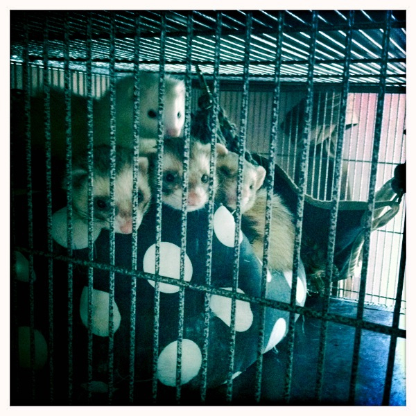 Hip 312201315.357455