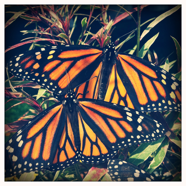 Hip 329421114.357169