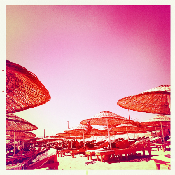 Hip 334586499.102511