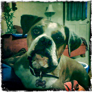 Hip 303095364.888520