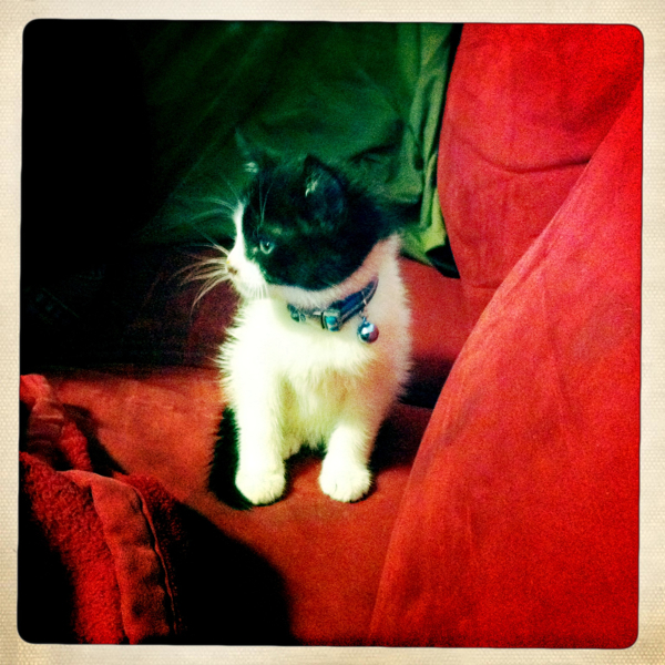 Hip 317334513.924902