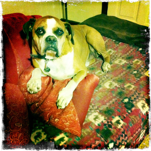 Hip 325213501.917239