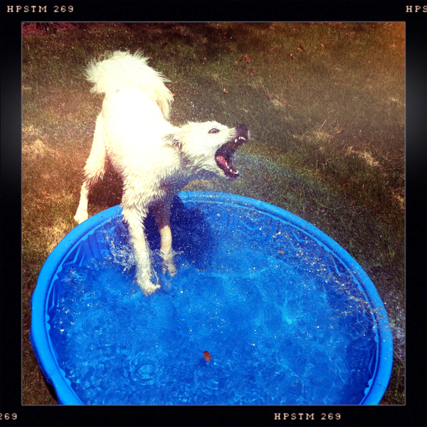 Hip 331401749.101602