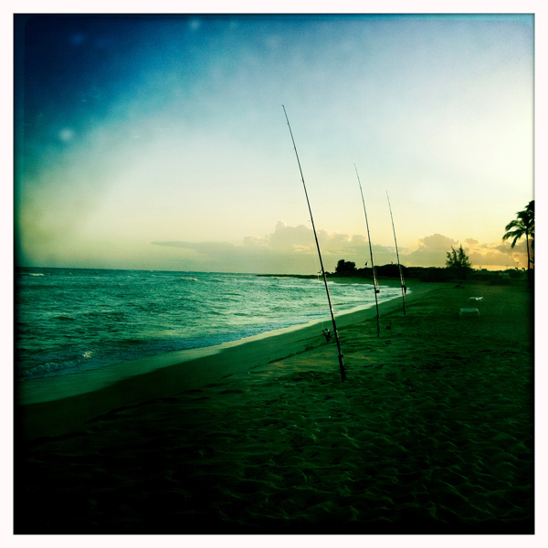 Hip 334817436.803415