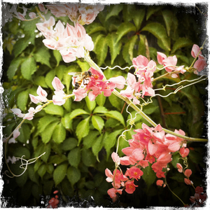 Hip 334772939.782587