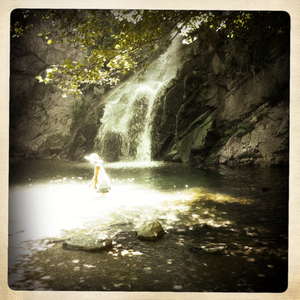 Hip 334790650.370238