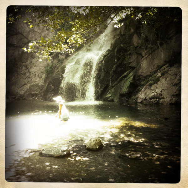 Hip 334790650.370238