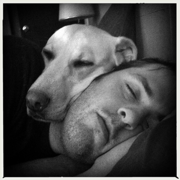 Hip 331743585.345213