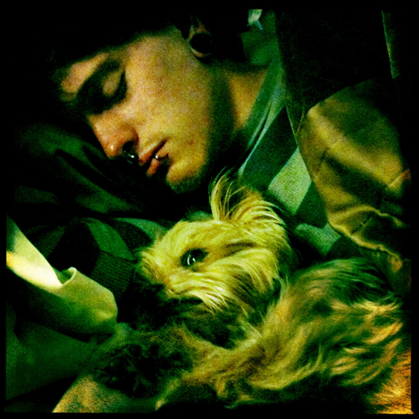 Hip 334199065.012800