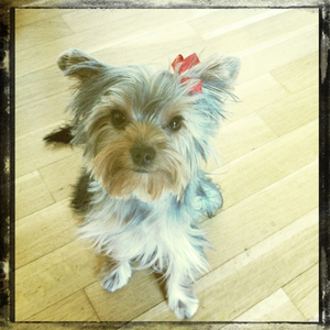 Hip 334688678.742828