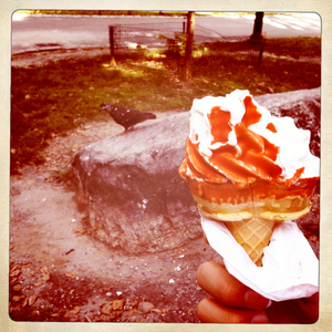 Hip 334875235.135706